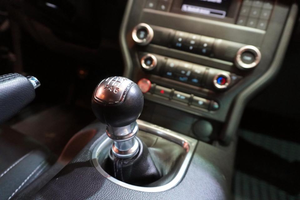 2019 Ford Mustang GT 5.0L w/ 6 Speed Manual Transmission & Only 24k !! 2019 Ford Mustang GT 5.0L w/ 6 Speed Manual Transmission & Only 24k !!