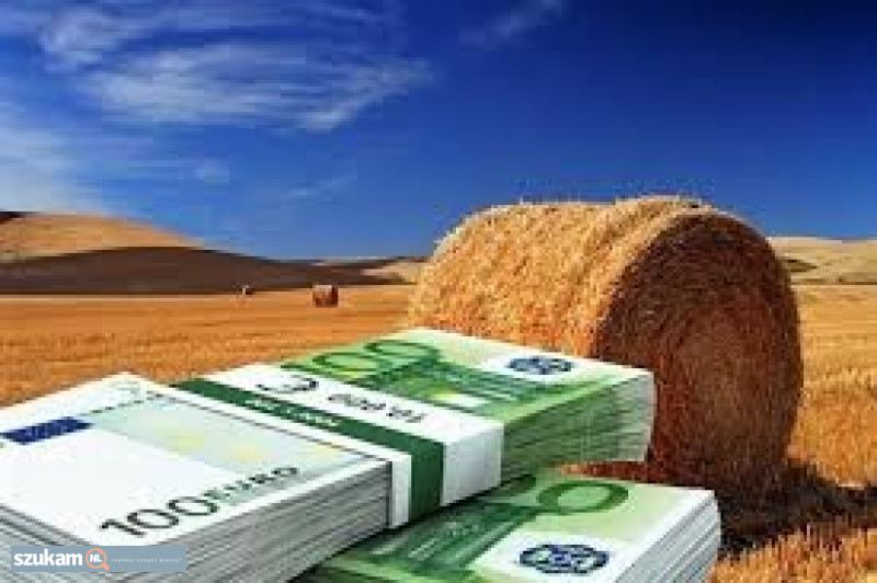 HOW TO GET YOUR LOAN TODAY HOW TO GET YOUR LOAN TODAY