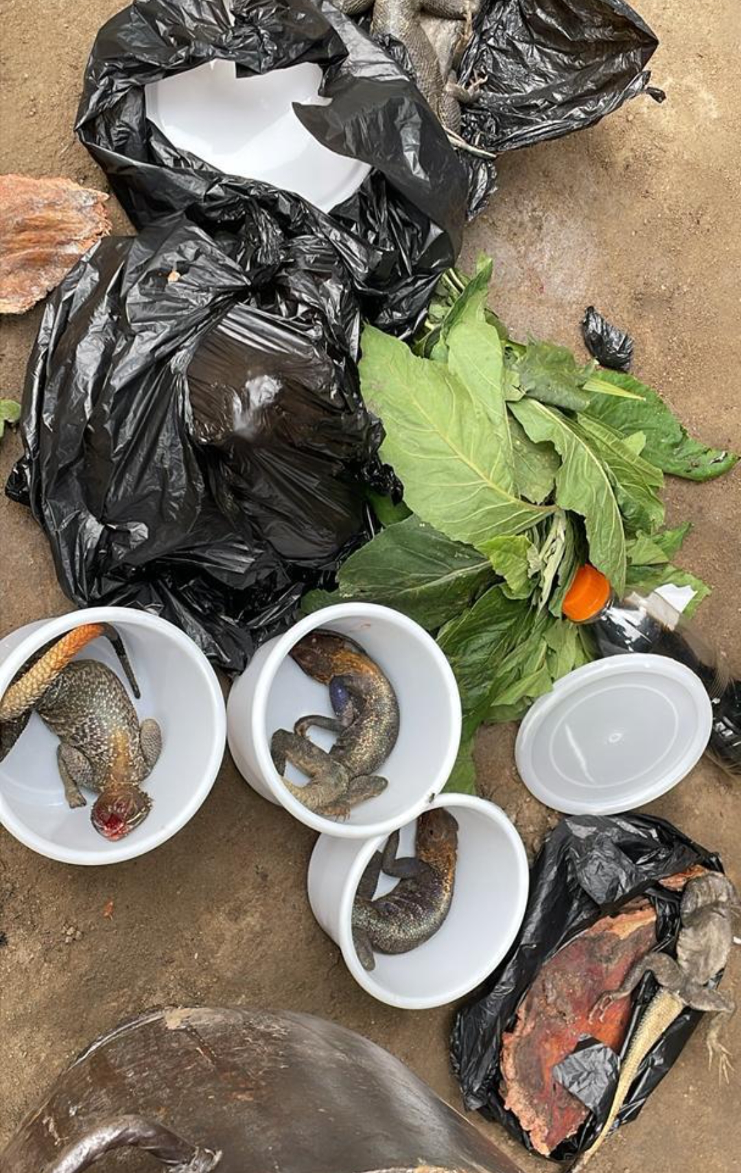 The Best Powerful SpirItual Herbalist Native Doctor IN Nigeria+2349159450040 The Best Powerful SpirItual Herbalist Native Doctor IN Nigeria+2349159450040