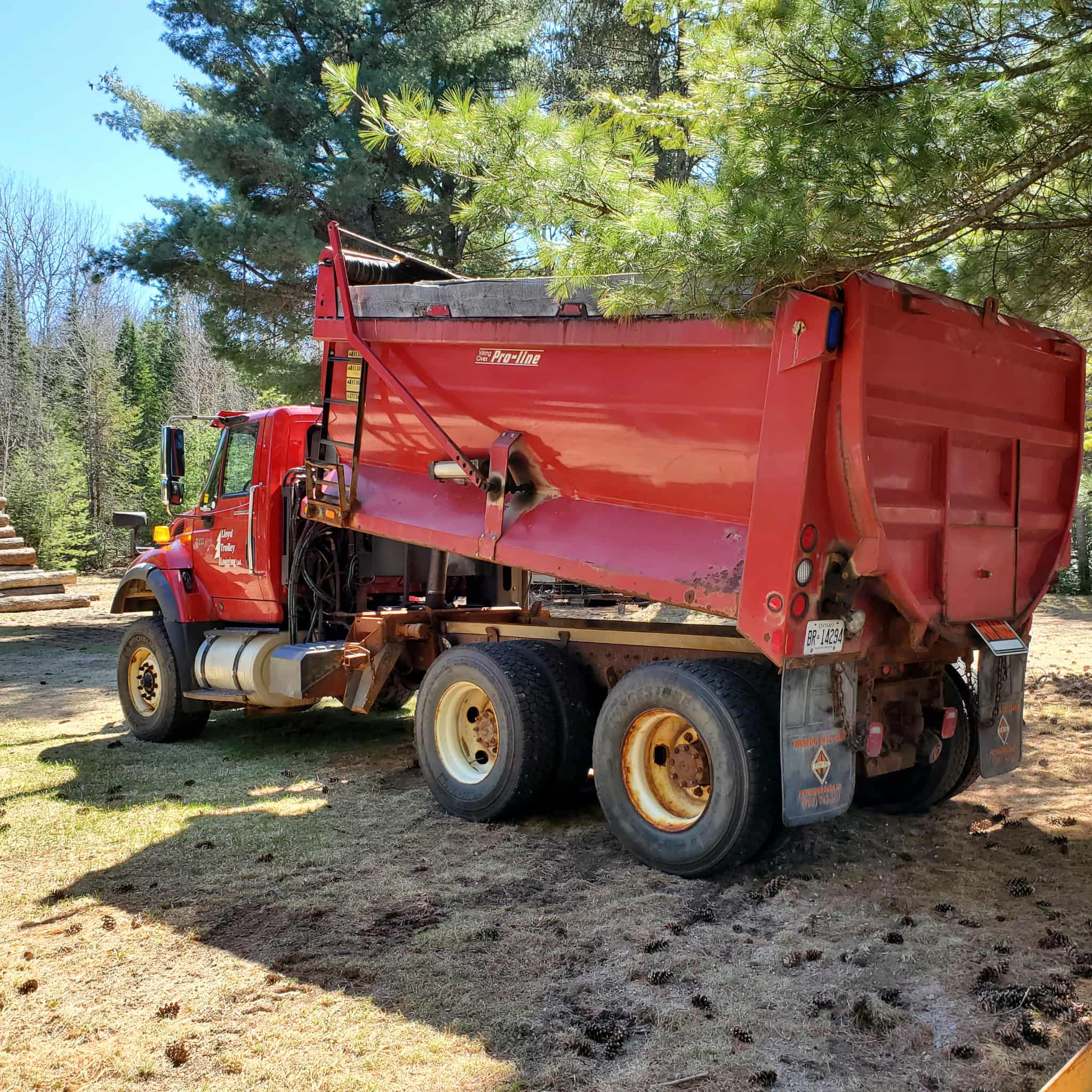International 7600 plow truck International 7600 plow truck