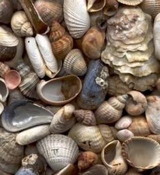 African Traditional Spells Caster With Long Distance Power Healing Call / WhatsApp +27722171549 